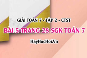 Giải bài 5 trang 28 Toán 7 Tập 2 SGK Chân trời sáng tạo